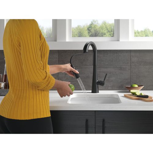 Main product image of Monrovia Single Handle Pull-Down Bar/Prep Faucet, 1.8 GPM (Matte Black), 9991-BL-DST