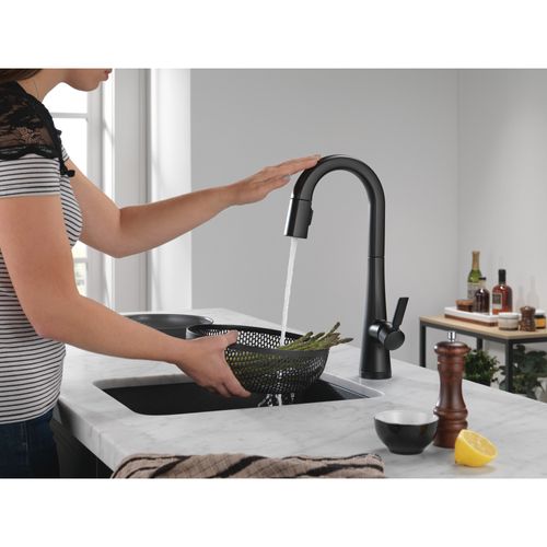 Main product image of Monrovia Single Handle Pull-Down Bar/Prep Faucet with Touch2O Technology, 1.8 GPM (Matte Black), 9991T-BL-DST