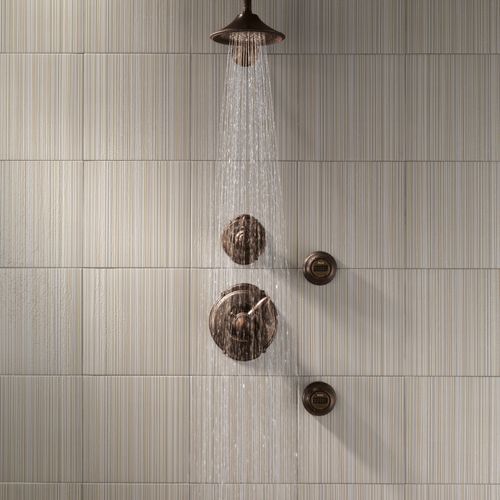 Premium 3-Setting Shower Head (Venetian Bronze)