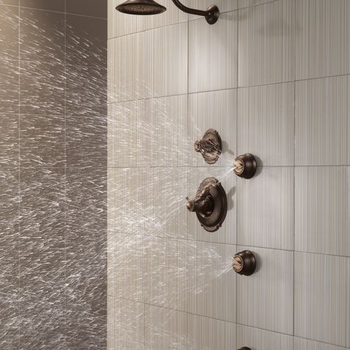 Premium 3-Setting Shower Head (Venetian Bronze)