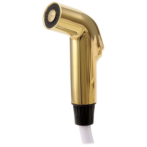 Side Spray & Hose Assembly (Polished Brass), RP39345PB