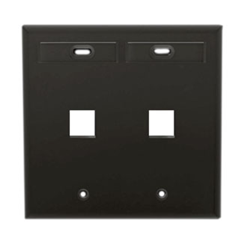 Main product image of Dual-Gang Quickport, Wallplate w/ ID Windows, 2-port (Black)