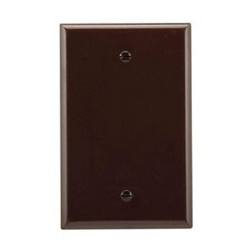 Main product image of Blank Wallplate, Box Mount, Brown, Blank Cutout, Thermoset, Single- Gang, Mid-Size, Ed Box, 2029B-BOX