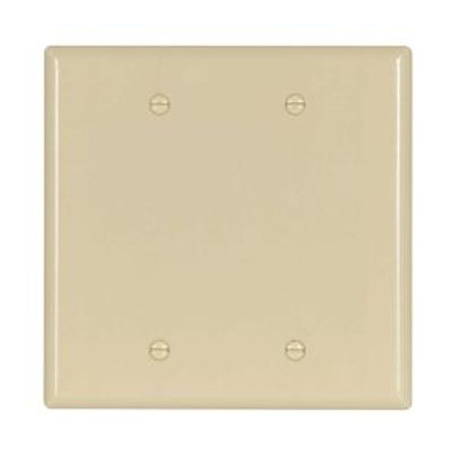 Main product image of Blank Wallplate, Box Mount, Ivory, Blank Cutout, Thermoset, Two- Gang, Mid-Size, Ed Box, 2037V-BOX