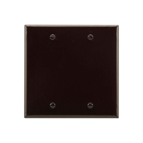 Main product image of Blank Wallplate, Brown, Blank Cutout, Thermoset, Two- Gang, Standard, Ed Box, 2137B-BOX