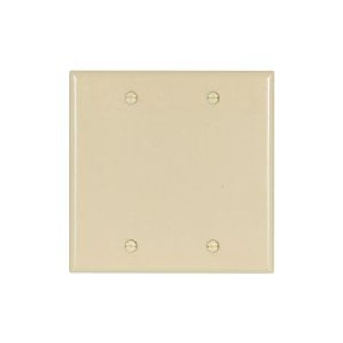 Main product image of Blank Wallplate, Ivory, Blank Cutout, Thermoset, Two- Gang, Standard, Ed Box, 2137V-BOX