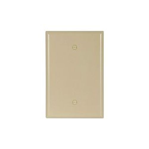Main product image of Blank Wallplate, Ivory, Blank Cutout, Thermoset, Single- Gang, Oversize, Ed Box, 2729V-BOX