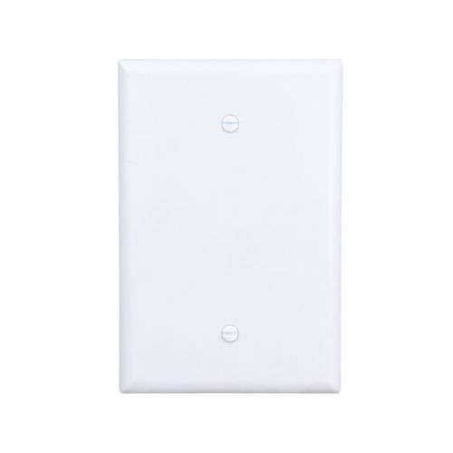 Main product image of Blank Wallplate, White, Blank Cutout, Thermoset, Single- Gang, Oversize, Ed Box, 2729W-BOX