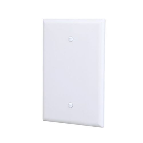 Main product image of Blank Wallplate, White, Blank Cutout, Thermoset, Single- Gang, Oversize, Ed Box, 2729W-BOX