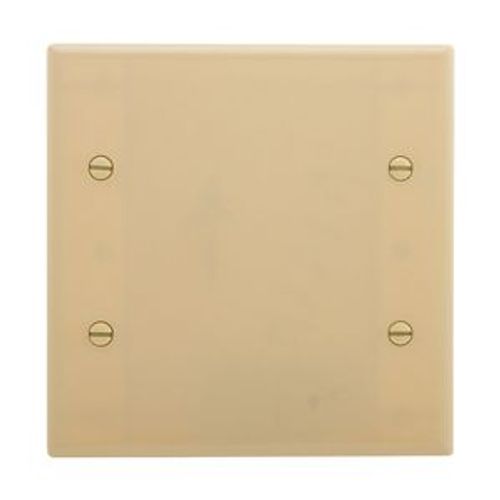 Main product image of Blank Wallplate, 10% Deeper Than Standard Size, Ivory, Blank Cutout, Thermoset, 2-Gang, 4137V-BOX