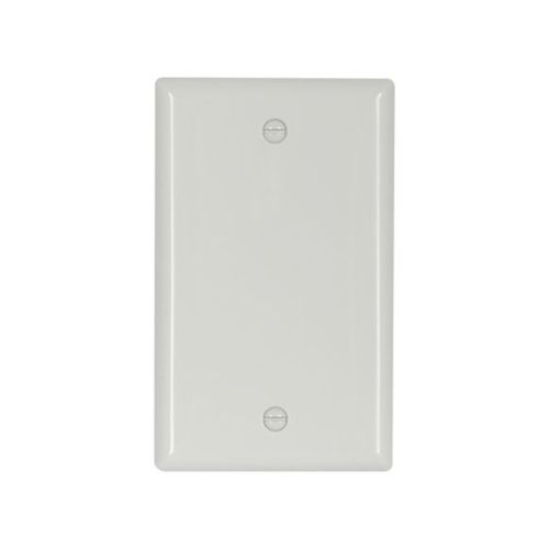 Main product image of Blank Wallplate, White, Blank Cutout, Nylon, Single- Gang, Standard, Ed Box, 5129W-BOX
