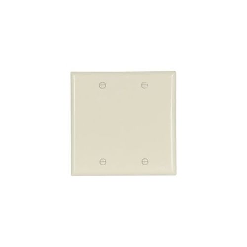 Main product image of Blank Wallplate, Almond, Blank Cutout, Nylon, Two- Gang, Standard, 5137A