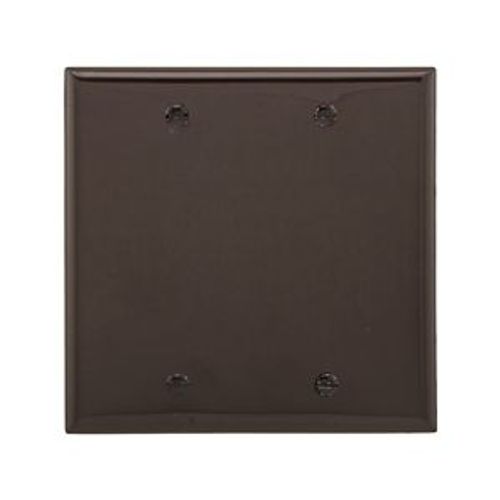 Main product image of Blank Wallplate, Brown, Blank Cutout, Nylon, Two- Gang, Standard, Ed Box, 5137B-BOX