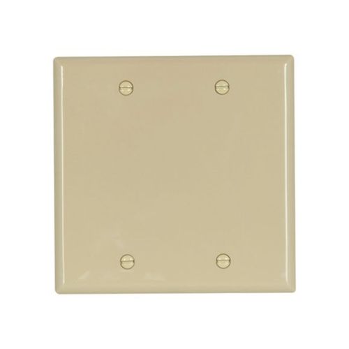Main product image of Blank Wallplate, Ivory, Blank Cutout, Nylon, Two- Gang, Standard, Ed Box, 5137V-BOX