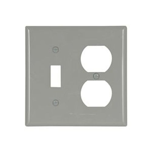 Main product image of Combination Wallplate, Gray, Toggle, Duplex Receptacle Cutout, Nylon, 2- Gang, Standard, Ed Box, 5138GY-BOX