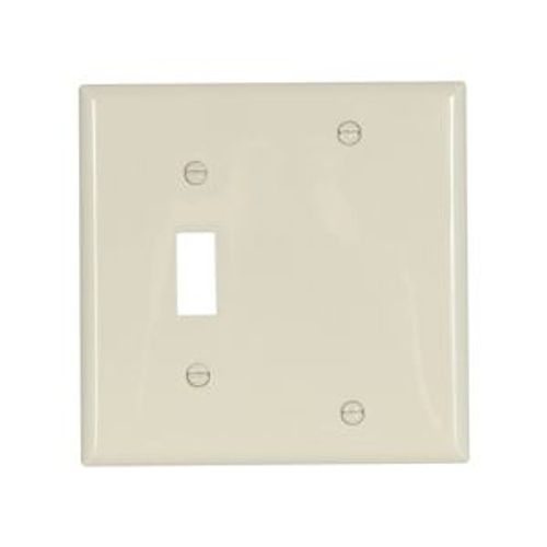 Main product image of Combination Wallplate, Almond, Toggle, Blank Cutout, Nylon, Two- Gang, Standard, 5171A
