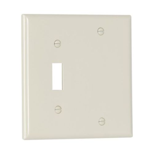 Main product image of Combination Wallplate, Lt. Almond, Toggle, Blank Cutout, Nylon, Two- Gang, Standard, 5171LA