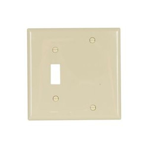 Main product image of Combination Wallplate, Ivory, Toggle, Blank Cutout, Nylon, Two- Gang, Standard, Ed Box, 5171V-BOX