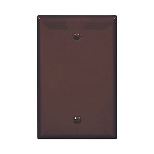 Main product image of Blank Wallplate, Box Mount, Brown, Blank Cutout, Polycarbonate, Single- Gang, Mid-Size, PJ13B