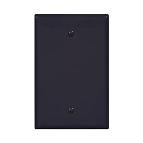 Main product image of Blank Wallplate, Box Mount, Black, Blank Cutout, Polycarbonate, Single- Gang, Mid-Size, PJ13BK