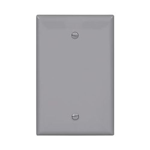 Main product image of Blank Wallplate, Box Mount, Gray, Blank Cutout, Polycarbonate, Single- Gang, Mid-Size, PJ13GY