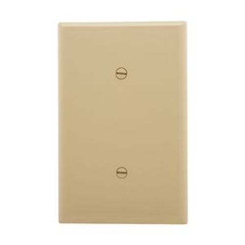 Main product image of Blank Wallplate, Strap Mount, Ivory, Blank Cutout, Polycarbonate, Single- Gang, Mid-Size, PJ14V