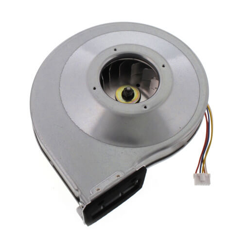 Fan Motor