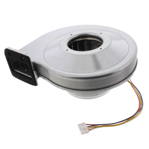 Fan Motor