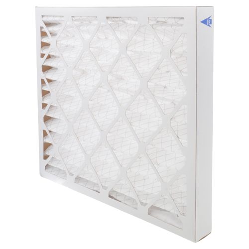 Main product image of Pleated Panel Filter 20 in. x 25 in. x 2 in. (Pack of 12), EQP4020252