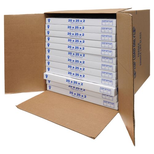 Main product image of Pleated Panel Filter 20 in. x 25 in. x 2 in. (Pack of 12), EQP4020252