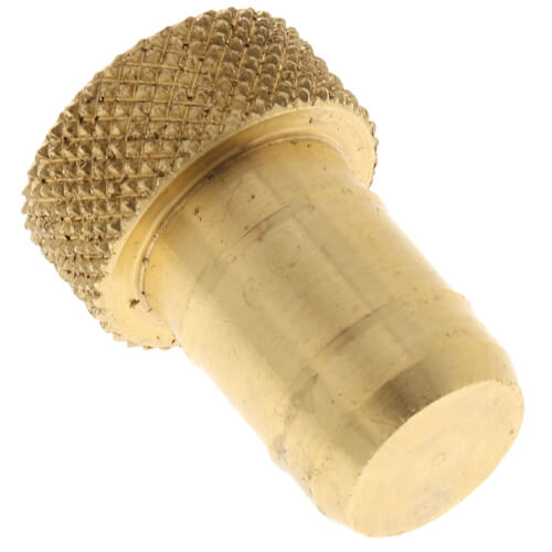 Main product image of 1/2" Plug