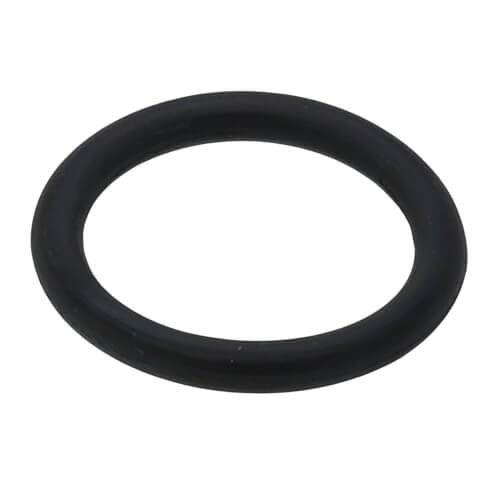 Main product image of Replacement Element w/ "O" Ring (Epoxy Inside, 30 Micron)