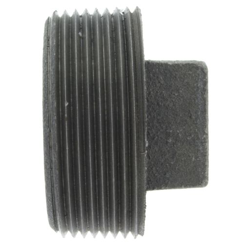 Main product image of 2-1/2" Black Regular Cored Plug