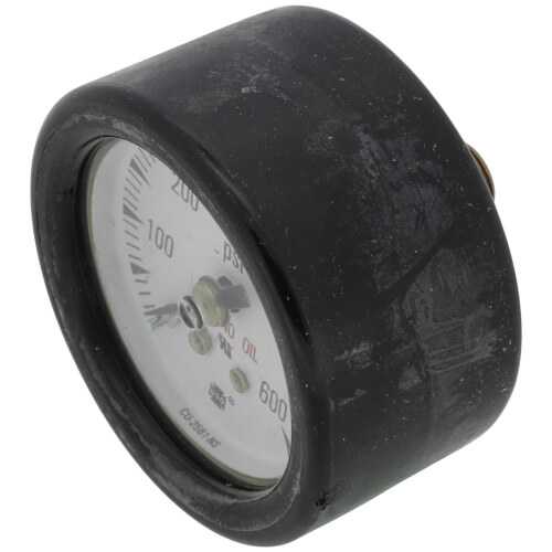 Main product image of Gauge (0-600 PSI)