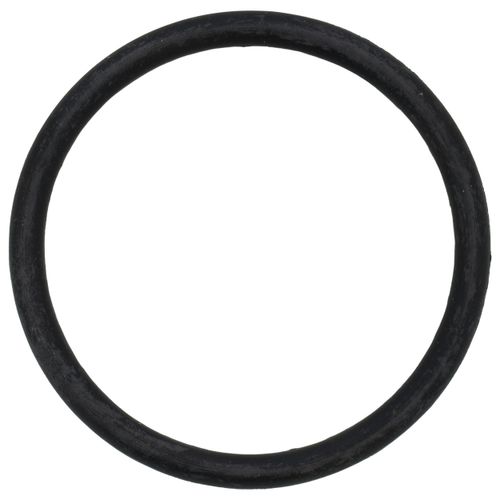 Main product image of 3/4" EPDM Gasket for Ultra-Compact Tankless Water Heater Service Valve Kit