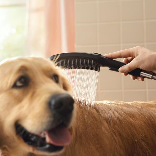 Main product image of Dog Shower Bundle, 3-Spray, 1.75 GPM (Black), 04974670