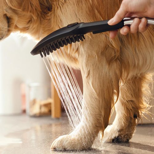 Main product image of Dog Shower Bundle, 3-Spray, 1.75 GPM (Black), 04974670