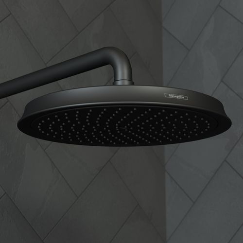 Main product image of Shower Arm Raindance 15" (Matte Black), 27413671