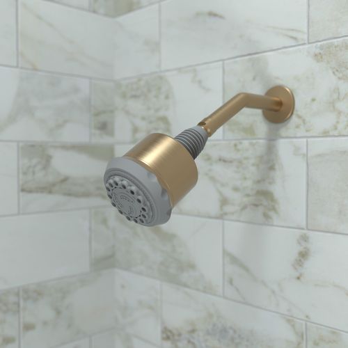 Main product image of Clubmaster Showerhead 3-Jet, 2.5 GPM (Brushed Bronze), 28496141