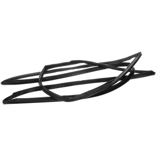 Main product image of Magnetic Gasket Tpe, OT-GA-900-PT-0638