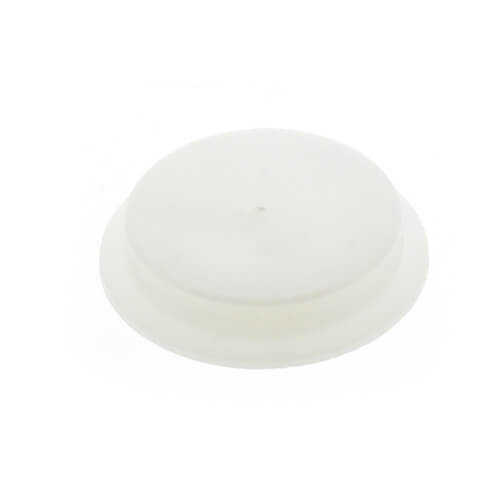 Main product image of 1-1/2" ABS Test Cap (5817P)