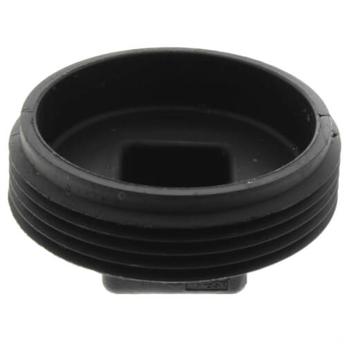 Main product image of 2-1/2" MIPT ABS Plug (5818)