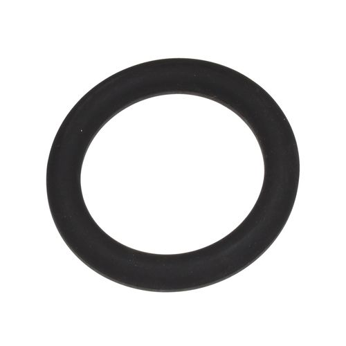 Main product image of O-Ring, 1000599