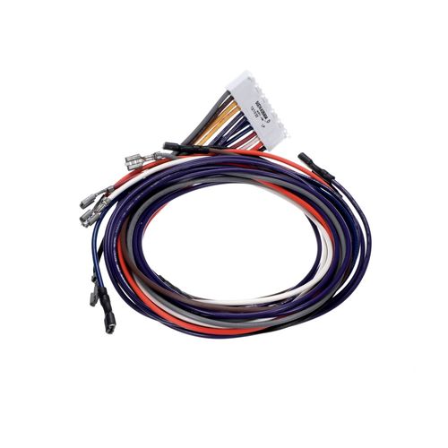 Main product image of Wiring Assembly Plug, 1171523