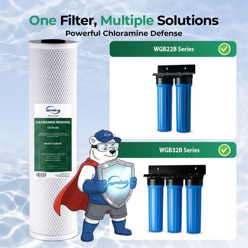 Main product image of 20" x 4.5" Whole House Chloramine Removal Water Filter