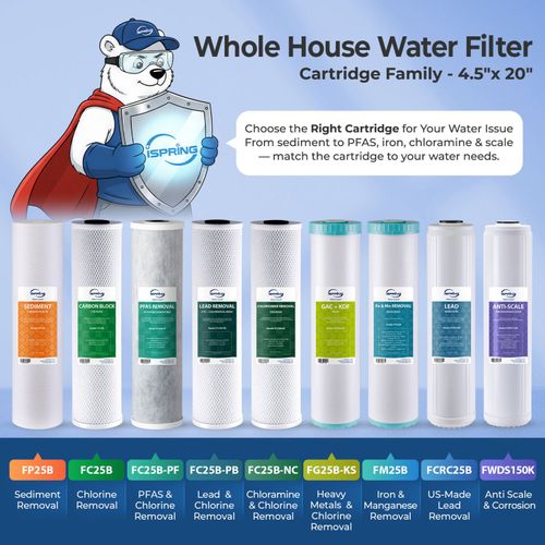 Main product image of 20" x 4.5" Whole House Chloramine Removal Water Filter