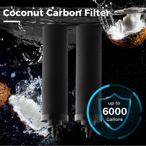 Main product image of Activated Carbon Countertop Water Filter for DGF2 Gravity Fed Water Filter System