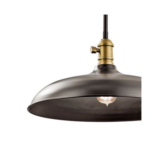 Main product image of Cobson 8" 1 Light Convertible Pendant or Semi Flush (Olde Bronze) w/ (Natural Brass) Accents