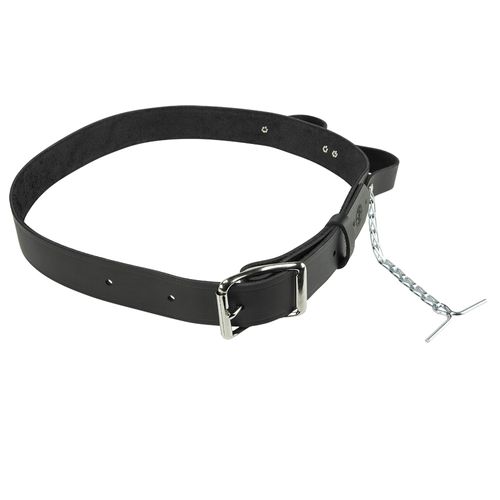Main product image of Electrician's Leather Tool Belt, Large, 5207L