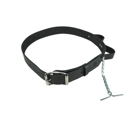 Main product image of Electrician's Leather Tool Belt, Large, 5207L